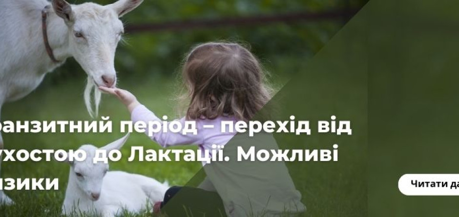 Транзитний період – перехід від Сухостою до Лактації. Можливі ризики