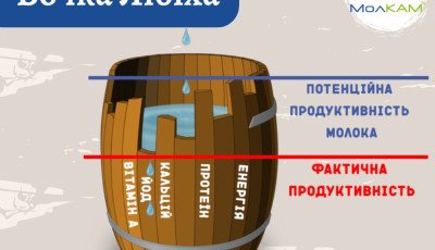 Бочка Лібіха
