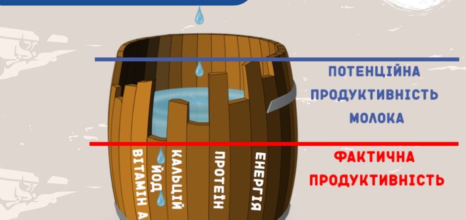 Бочка Лібіха