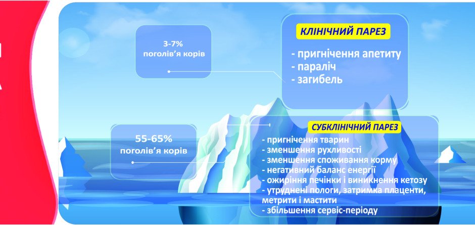 ПАРЕЗ (гіпокальціємія)