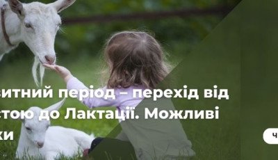 Транзитний період – перехід від Сухостою до Лактації. Можливі ризики