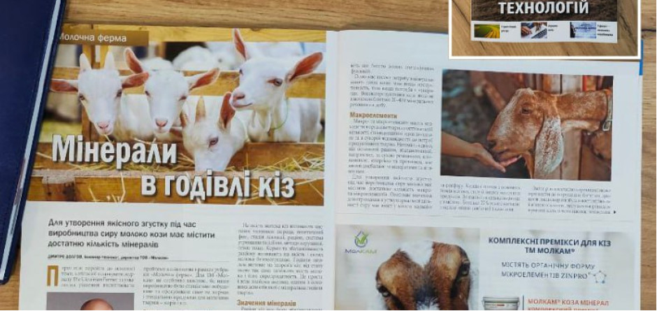 Мінерали в годівлі кіз