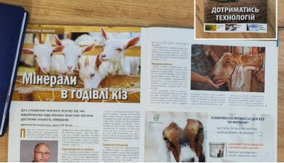 Мінерали в годівлі кіз