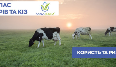 ВИПАС Корів та кіз - користь та ризики