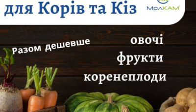 Сезонні овочі для корів та кіз